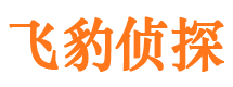 武昌外遇出轨调查取证